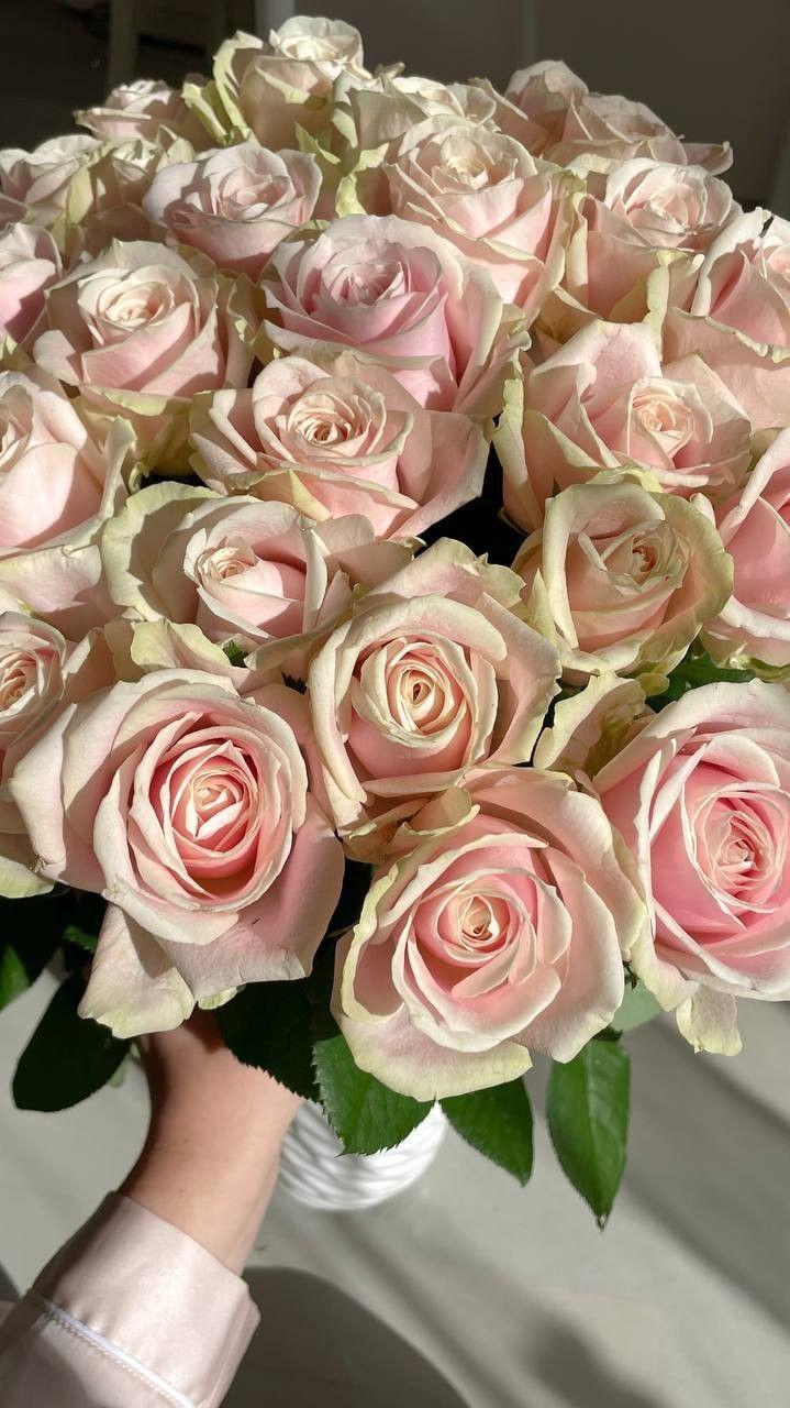 Enchanted Garden: Vibrant Blossom Medley